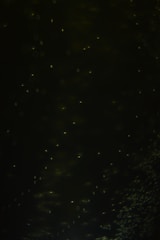 Simulation snapshot of scattering processes in quantum fields.