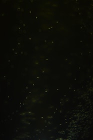 Graphical representation of particle scattering events in quantum fields.