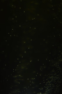 A dark image featuring numerous small, faint, scattered light spots resembling stars or particles.