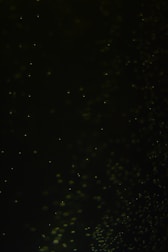 Macro shot of fluorescent particles illuminating on a dark surface.