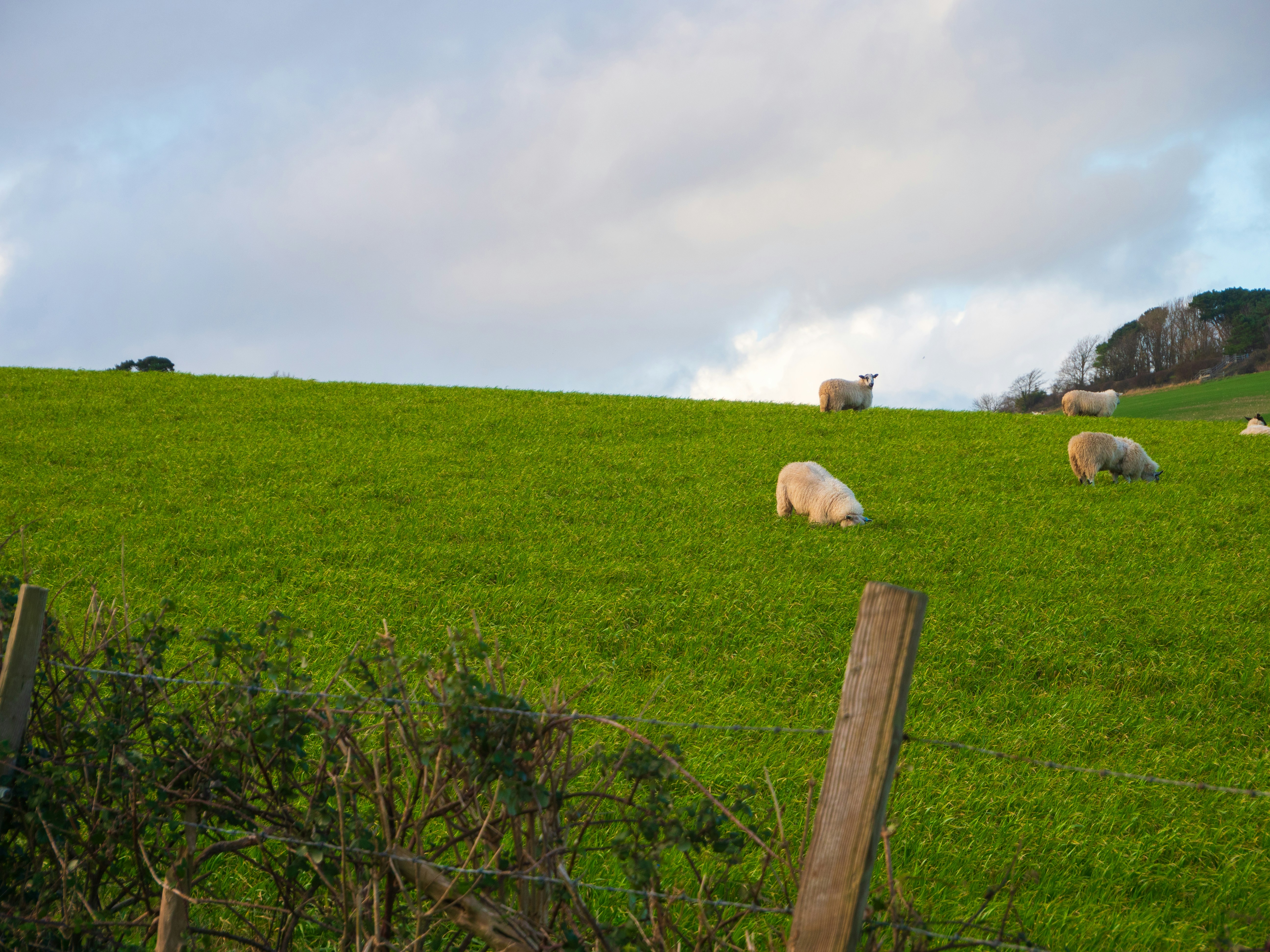 Photo by bengrayland