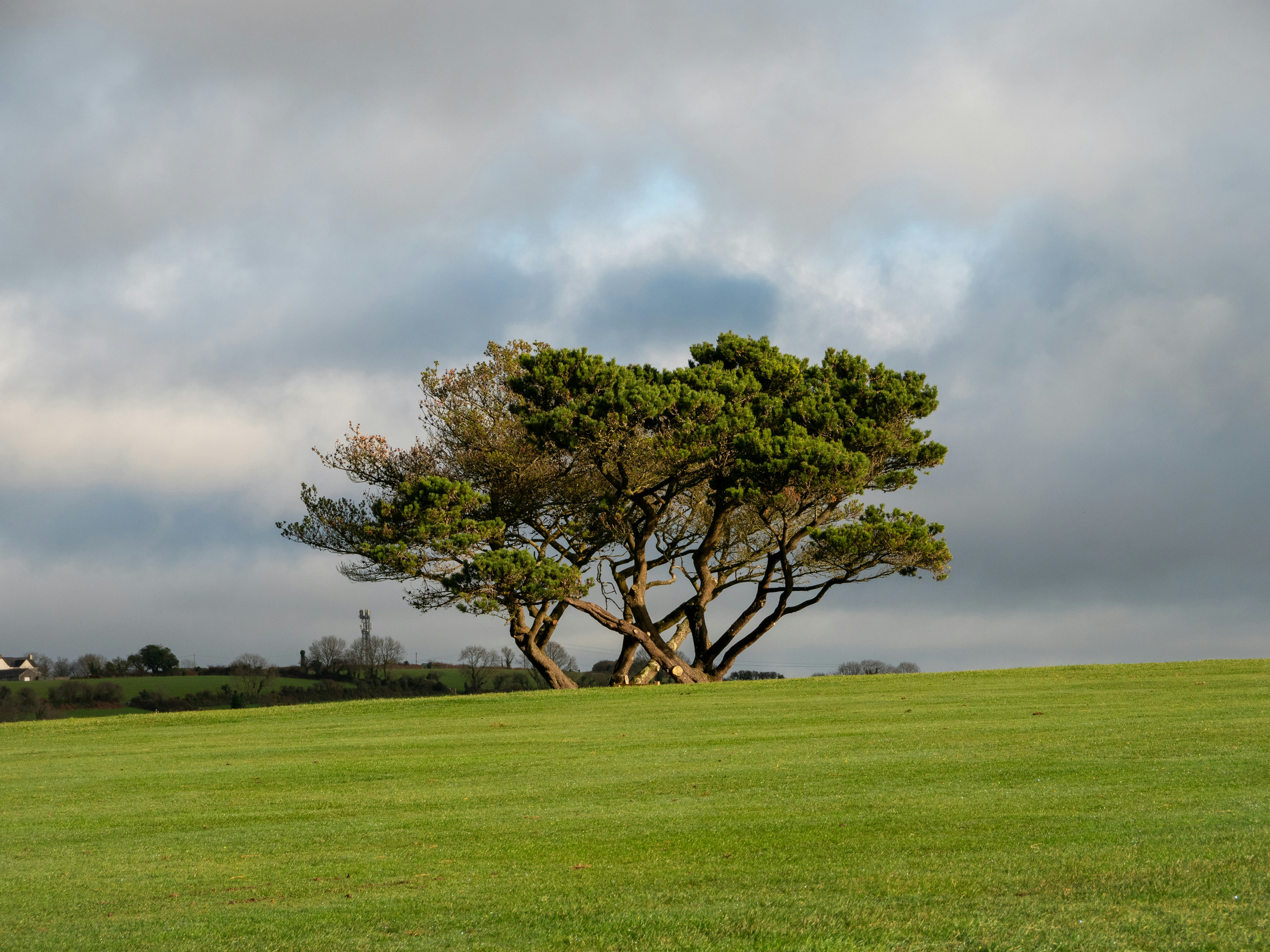 Photo by bengrayland