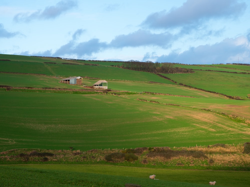 a green field with a house in the middle of it