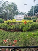 A sunny garden area where residents can relax and enjoy nature.