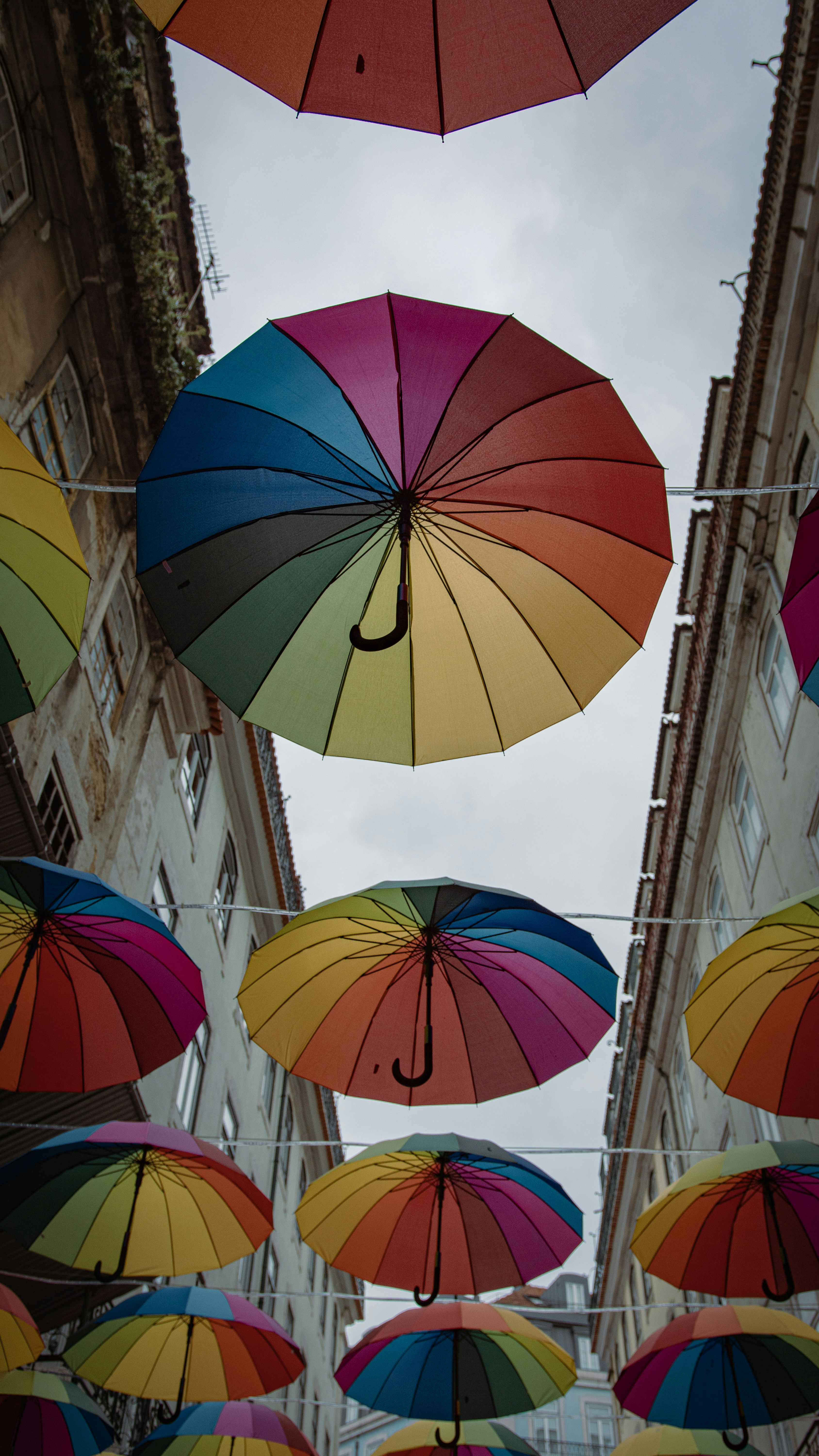 Photo by milica_spasojevic