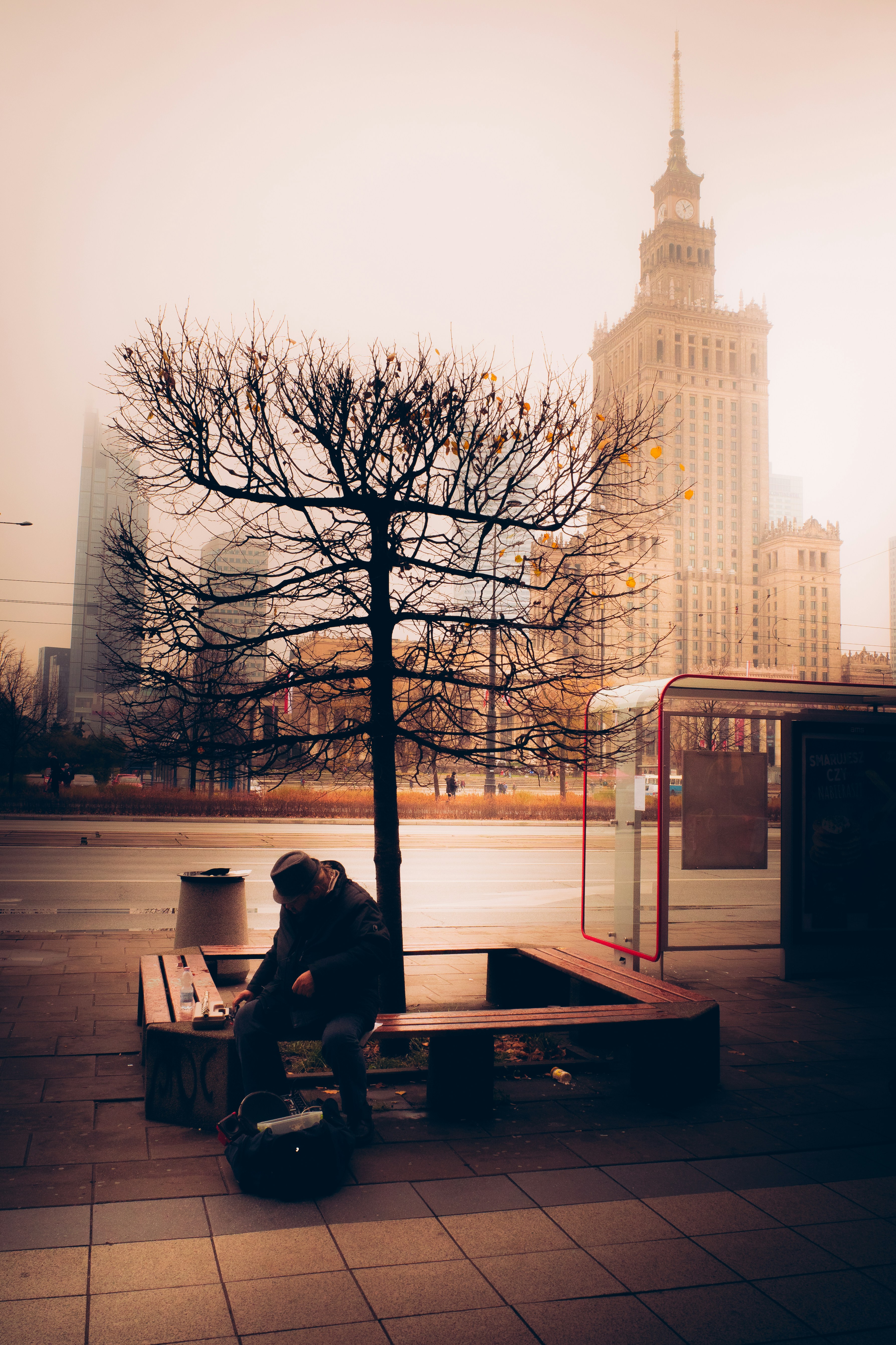 a man sitting on a bench next to a tree