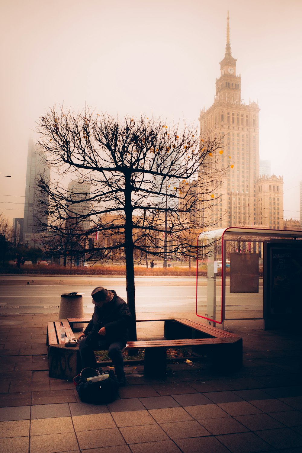 a man sitting on a bench next to a tree