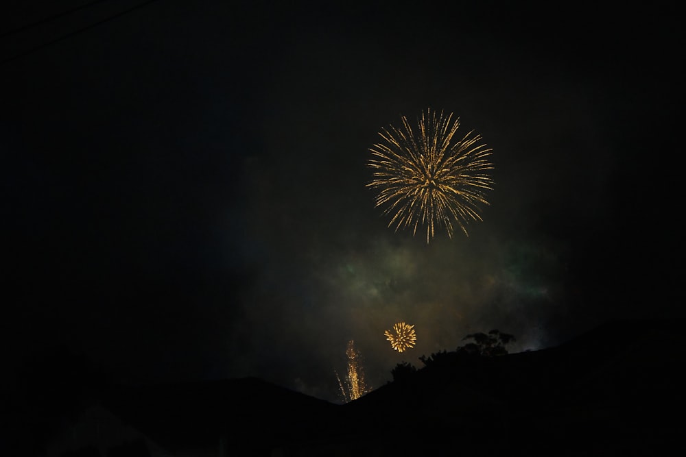 a large fireworks is lit up in the night sky