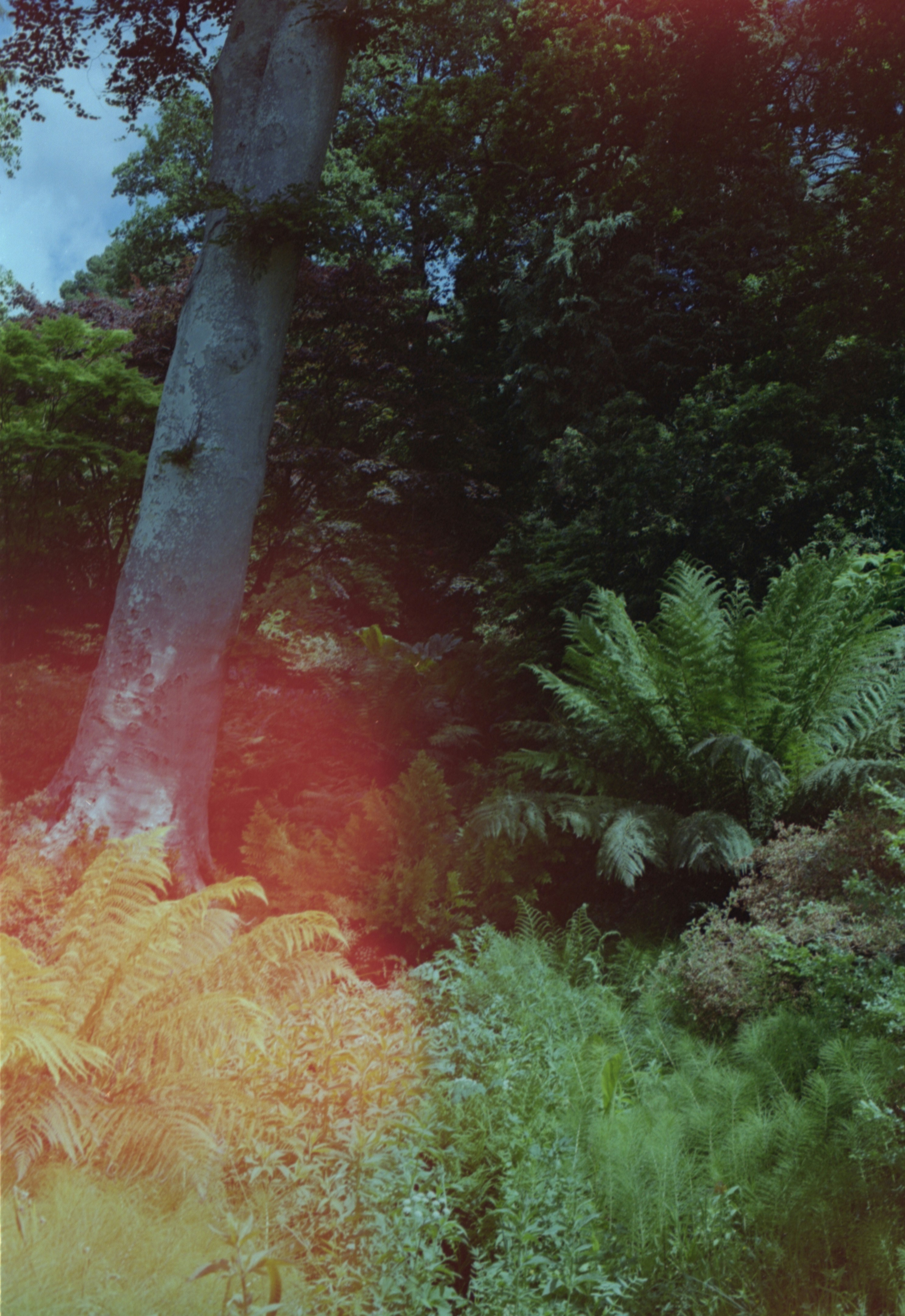 Photo by anniespratt