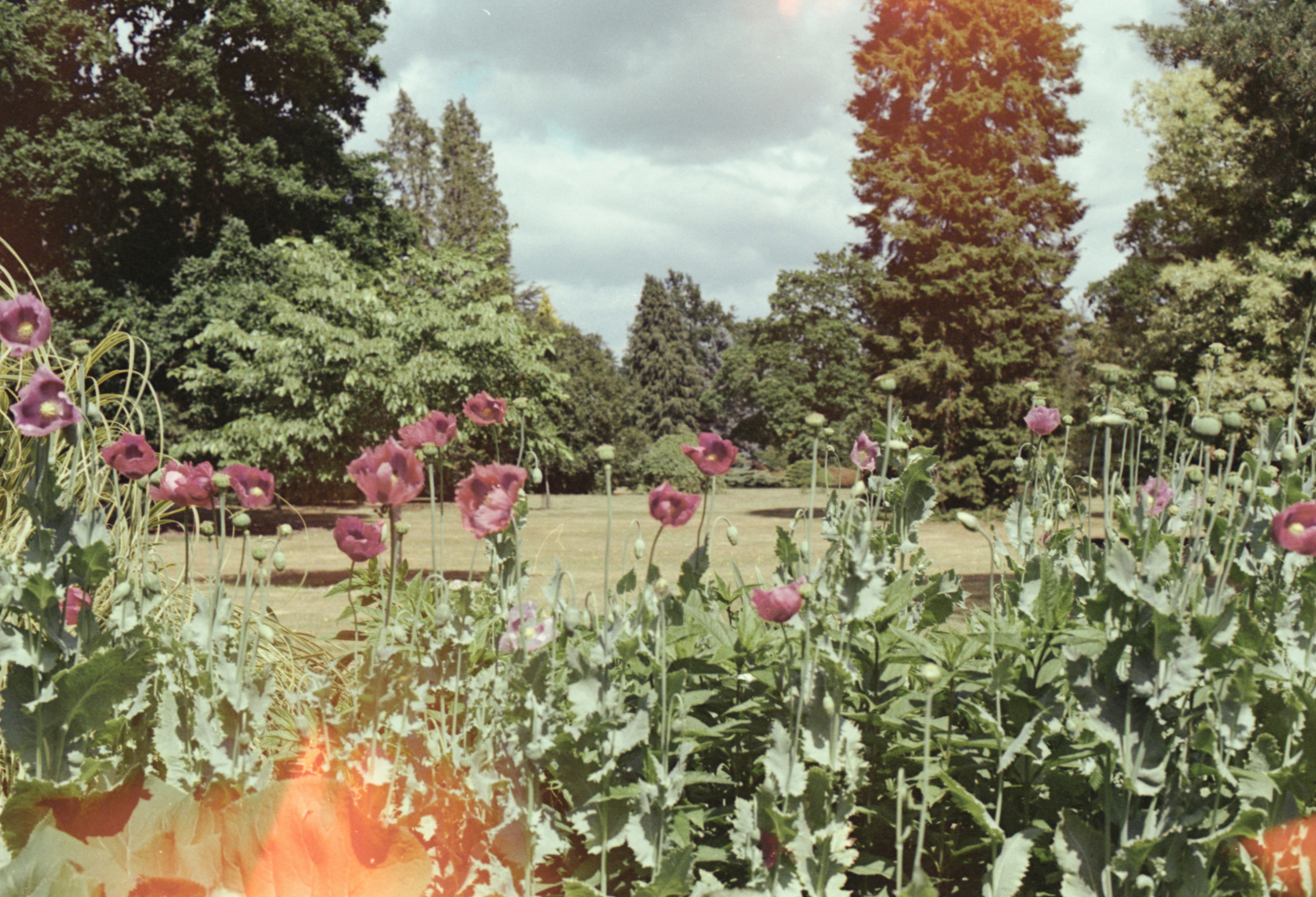 Photo by anniespratt