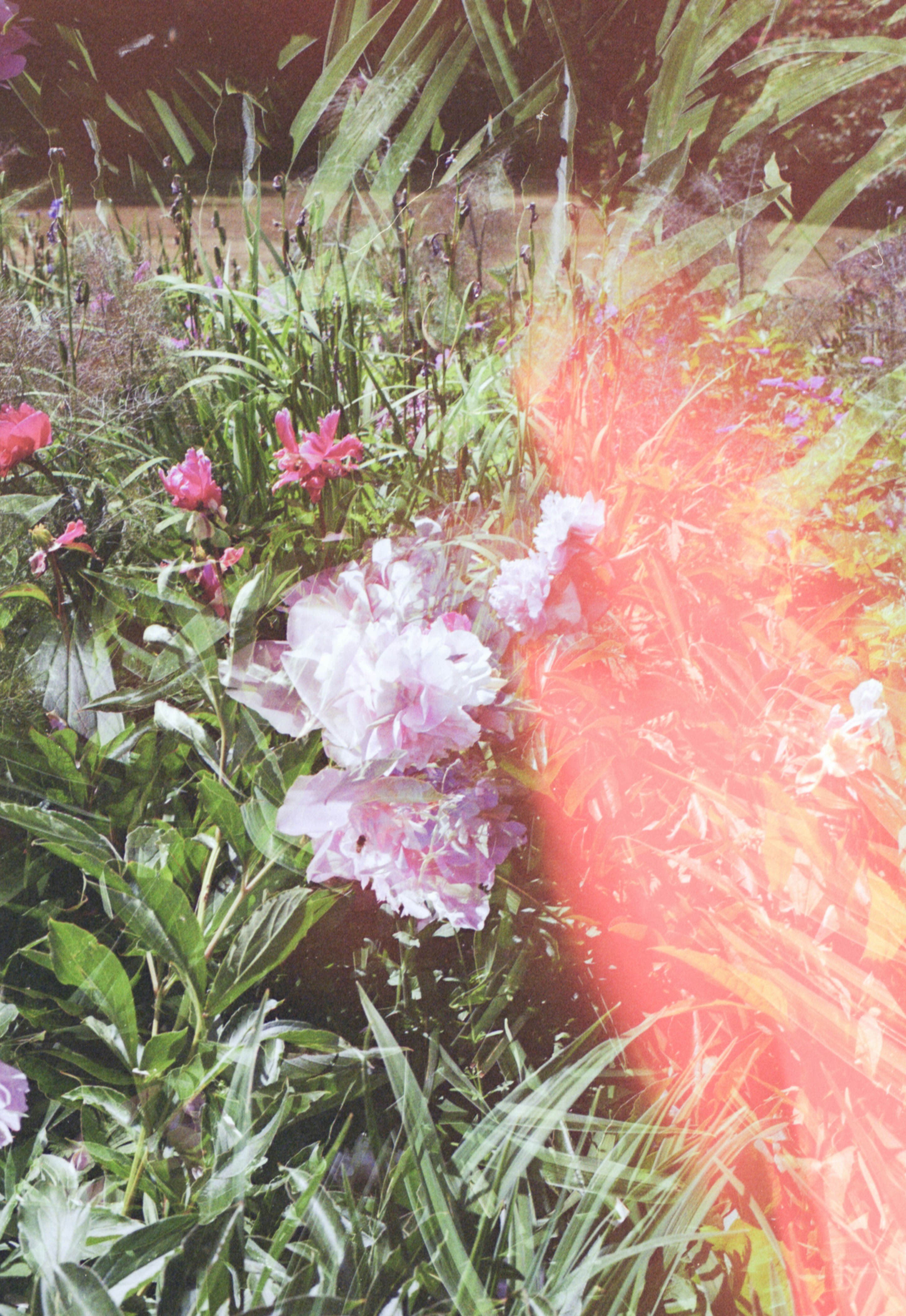 Photo by anniespratt