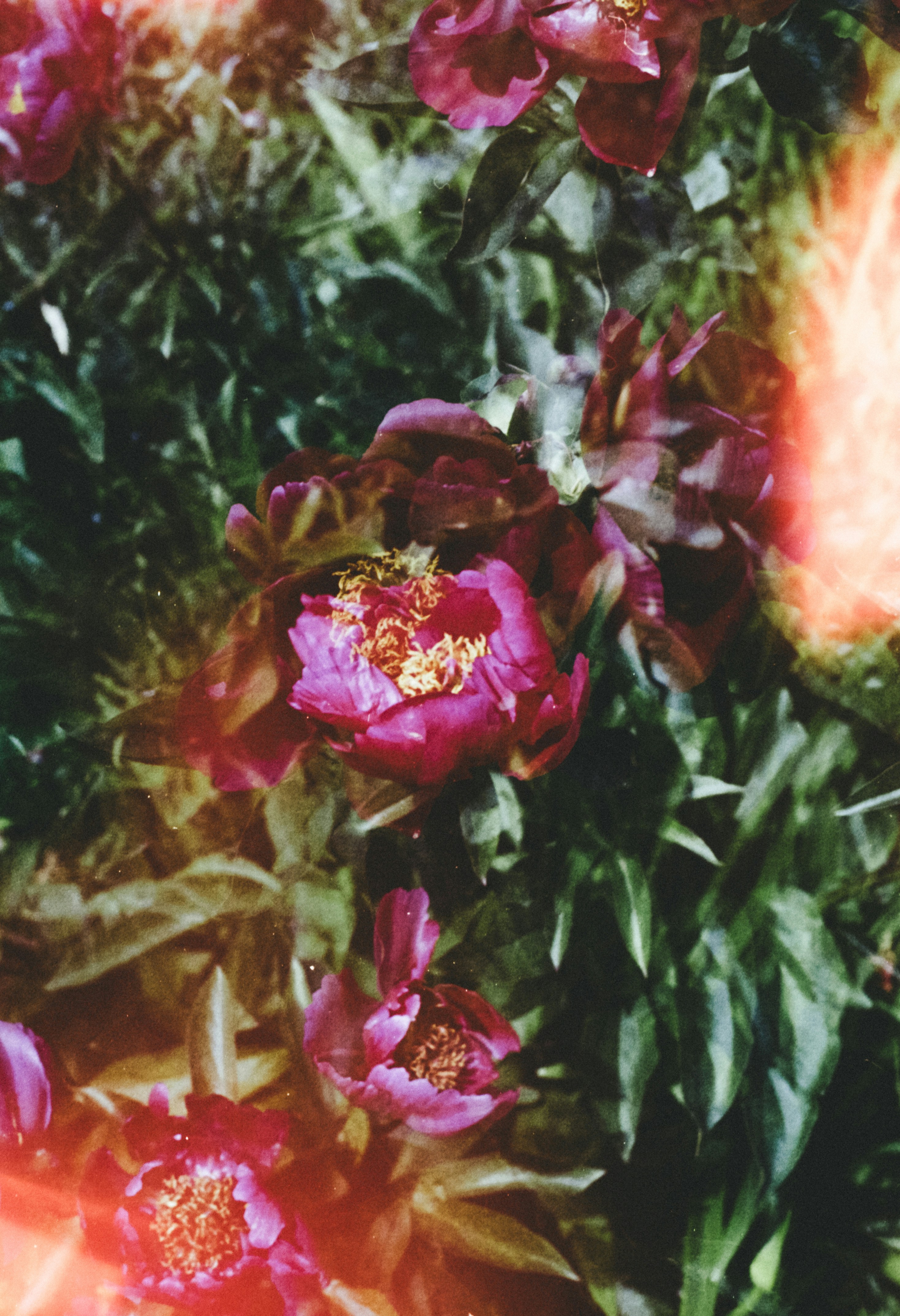 Photo by anniespratt