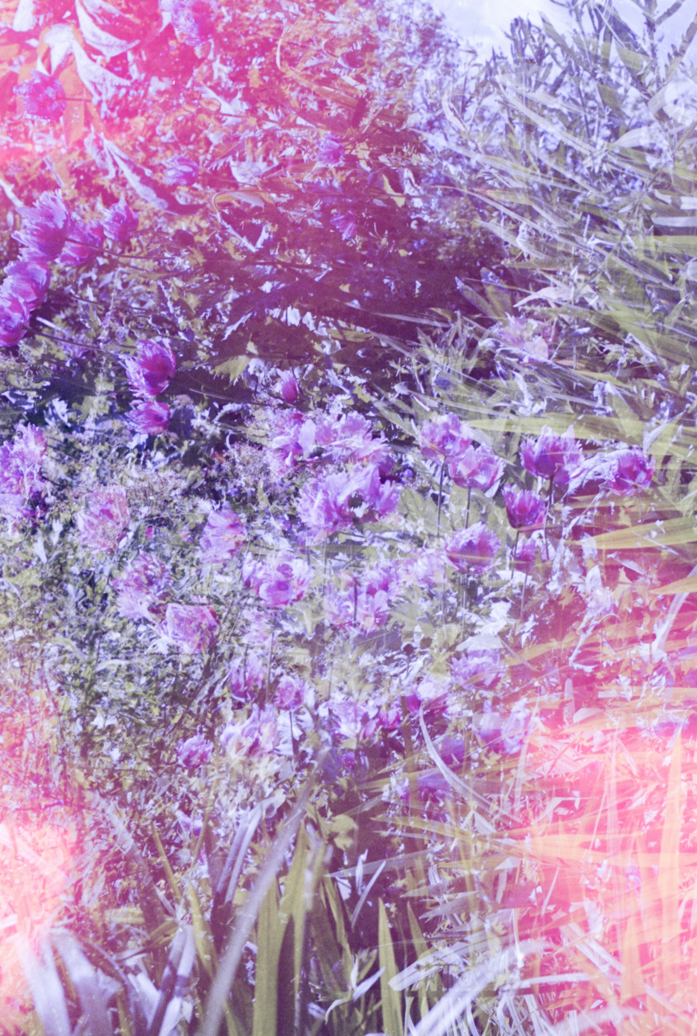 Photo by anniespratt