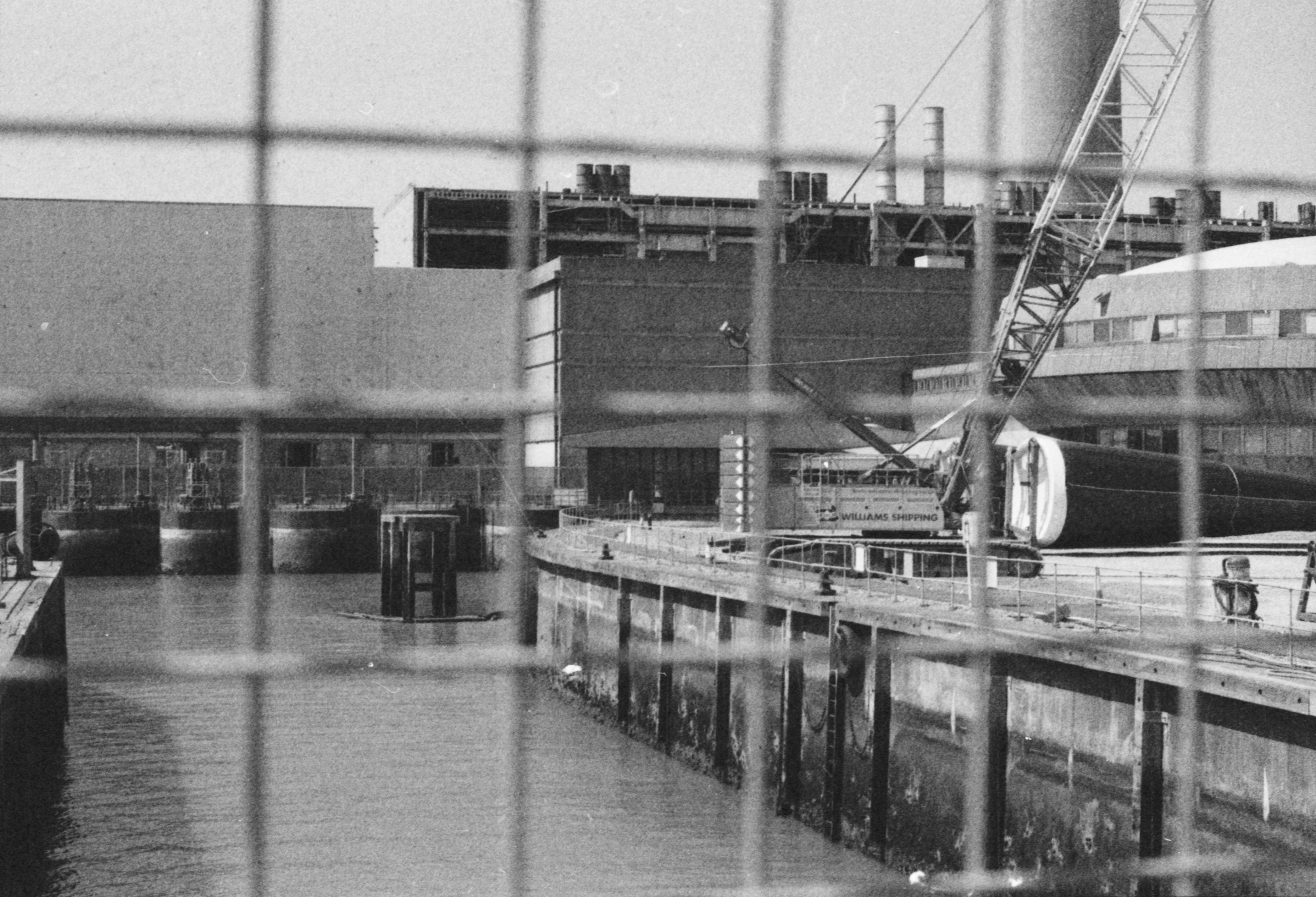 Photo by anniespratt