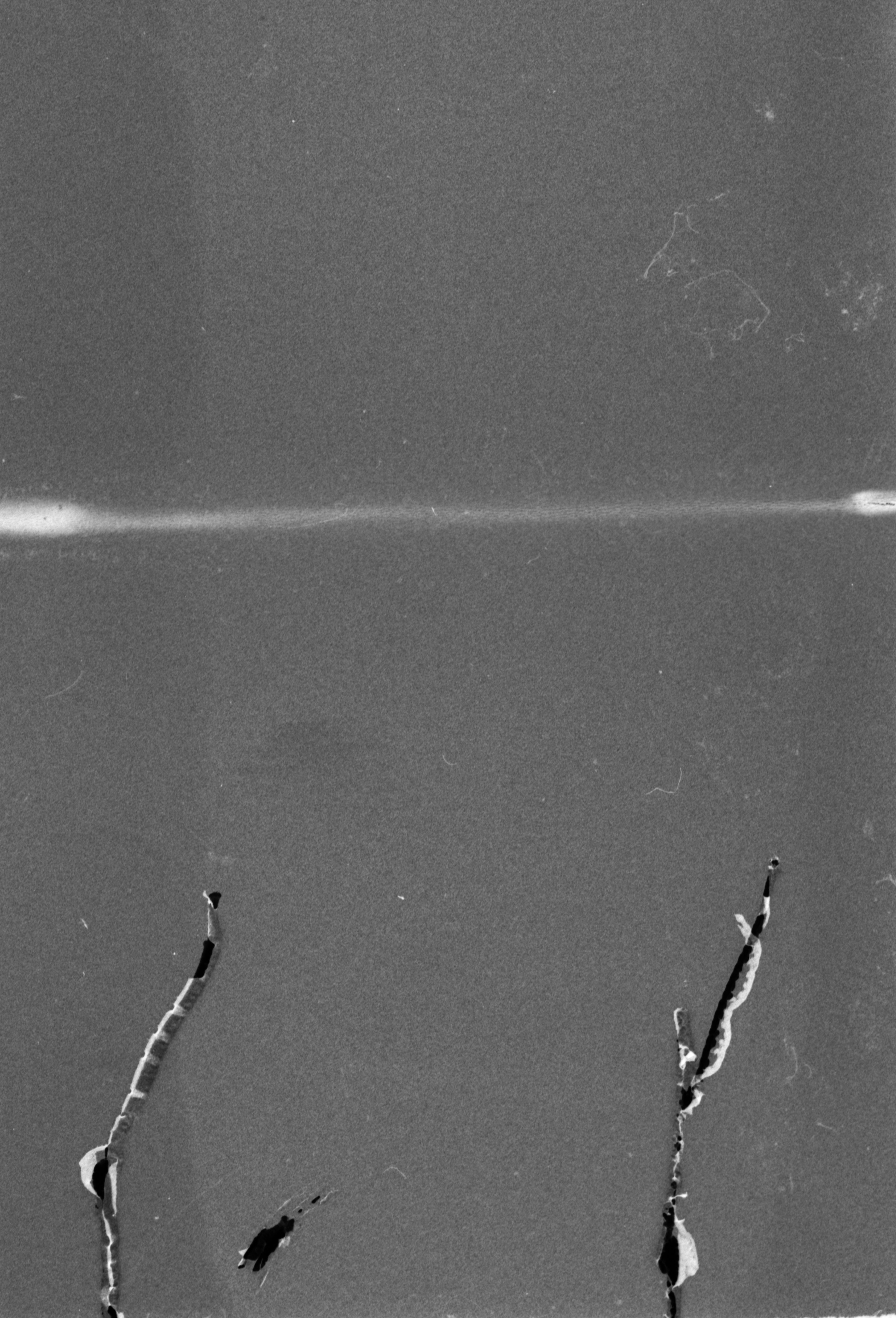 Photo by anniespratt