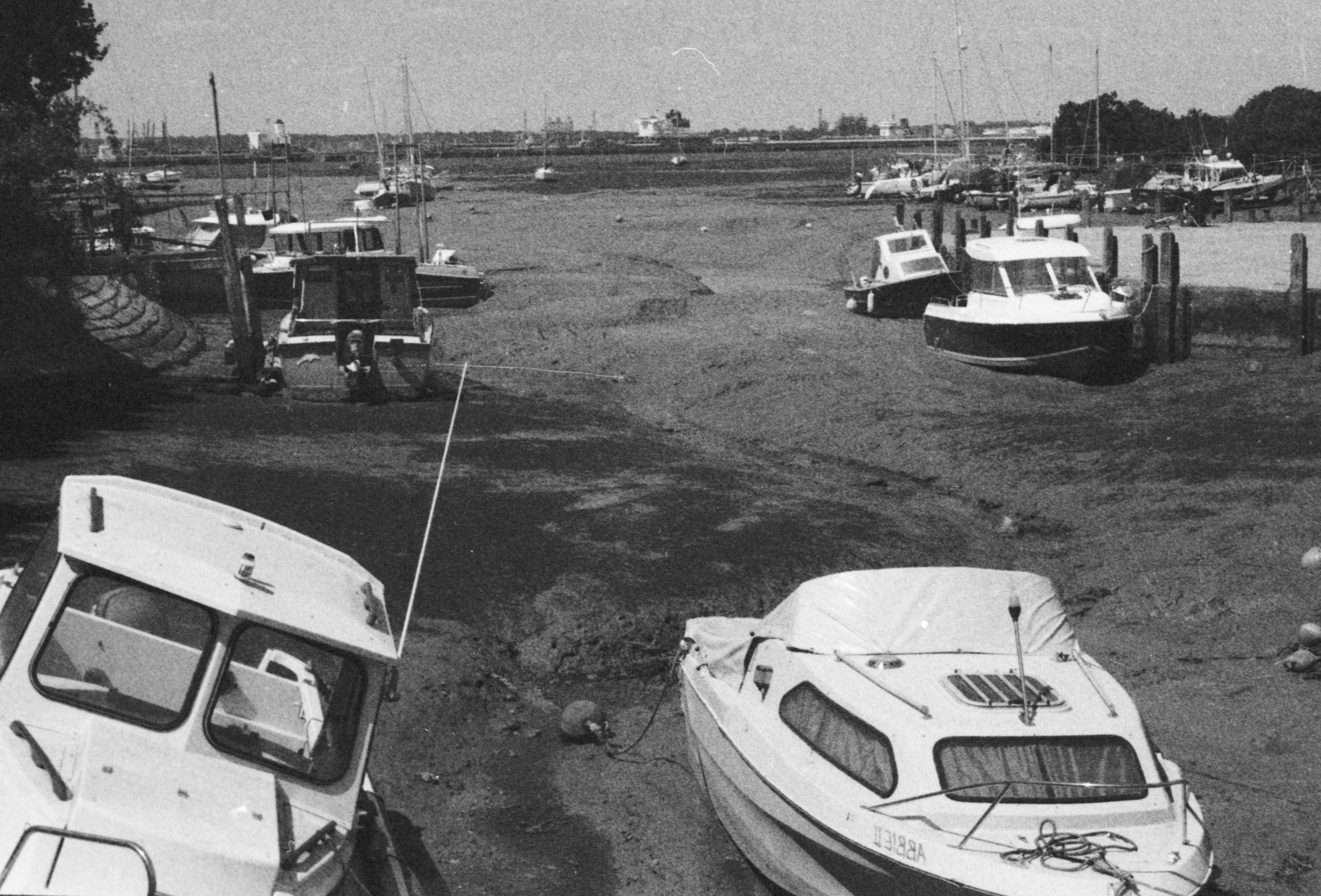 Photo by anniespratt