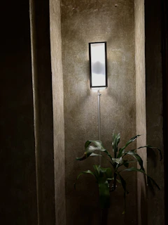 A warm botanical lighting fixture casting soft shadows over a cozy living room corner filled with plants.