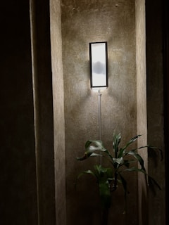 A cozy room corner featuring green-hued fluted panels paired with warm ambient lighting.