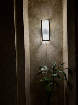 Calm corner with plants and subtle lighting enhancing the intimate home atmosphere.
