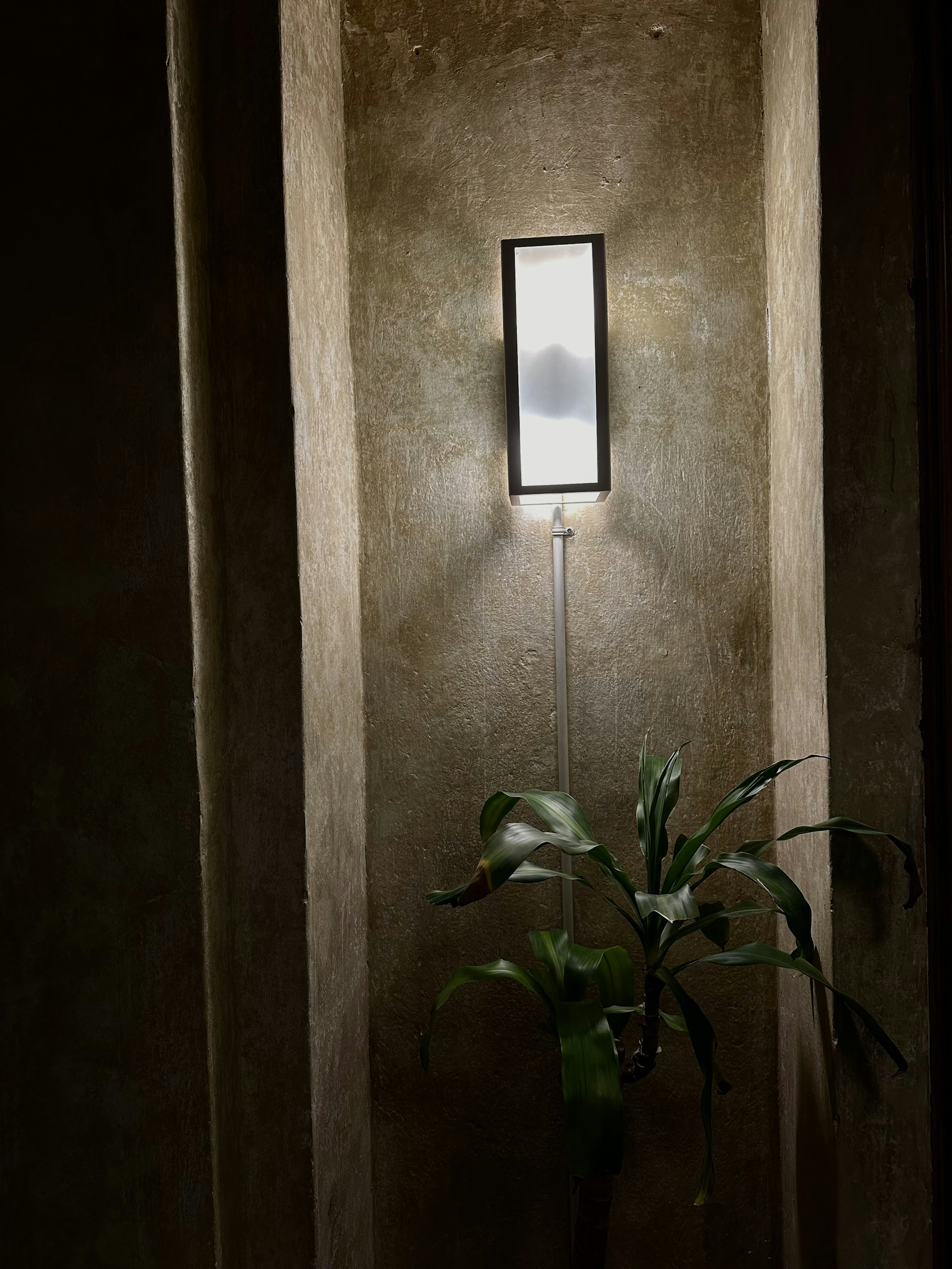 woman wearing yellow long-sleeved dress under white clouds and blue sky during daytime