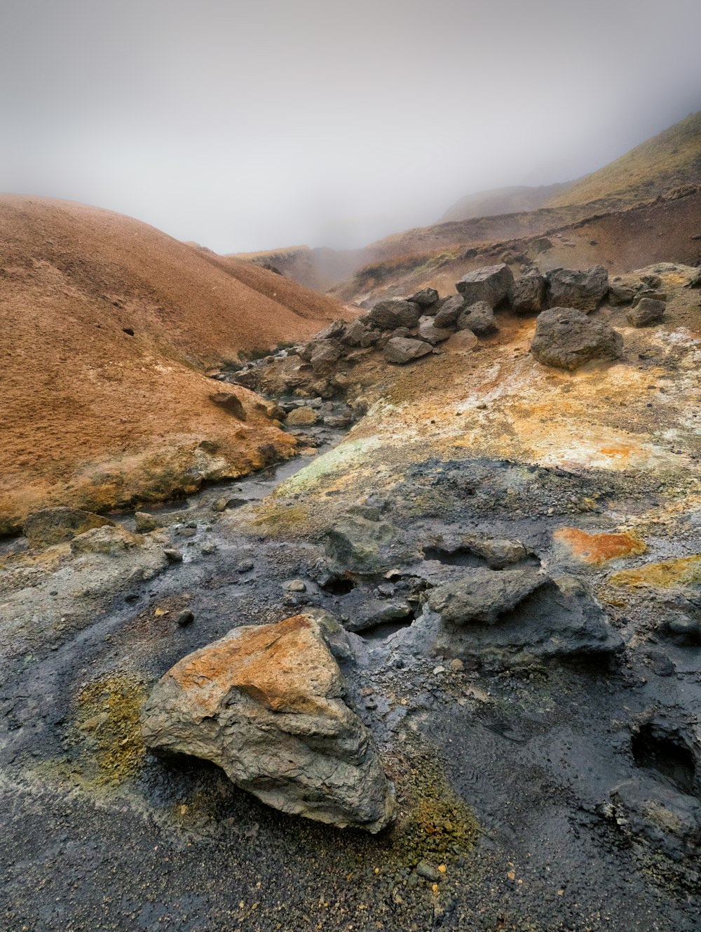 a rocky area with a few rocks and moss growing on it