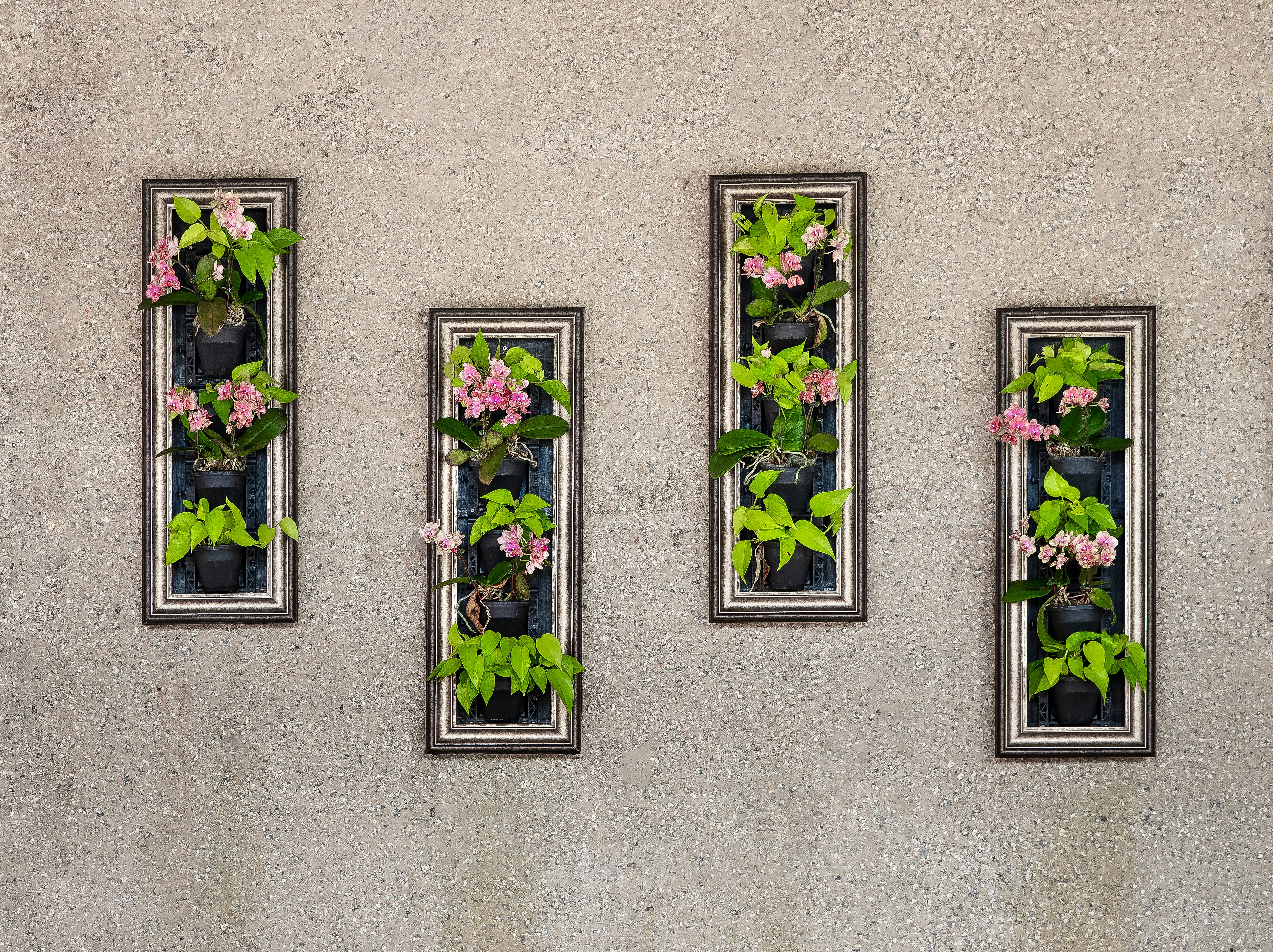 a group of three mirrors with plants in them