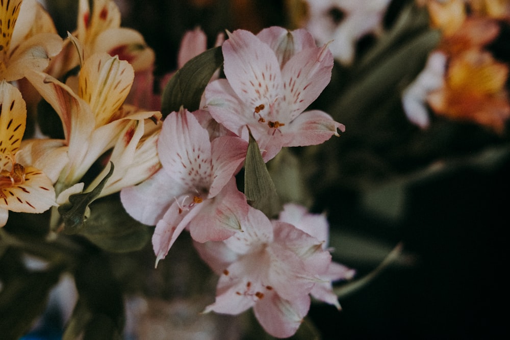 a vase filled with pink and yellow flowers