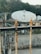 A large satellite dish is positioned in an outdoor area surrounded by trees and a stone wall. The dish is mounted on a structure with metal beams and wires. The foreground includes a rusted metal railing, and there's equipment visible near the wall, suggesting an industrial or telecommunications context.