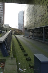 A freshly installed paving block pathway in a residential area.