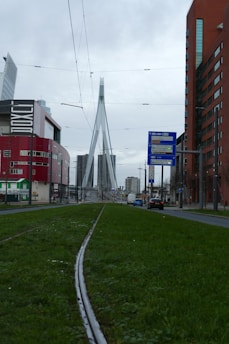 A modern urban scene featuring a prominent bridge with a striking architectural design, surrounded by tall buildings. A tramway with green grass runs through the foreground, leading towards the bridge. City streets and directional signs add to the metropolitan atmosphere.