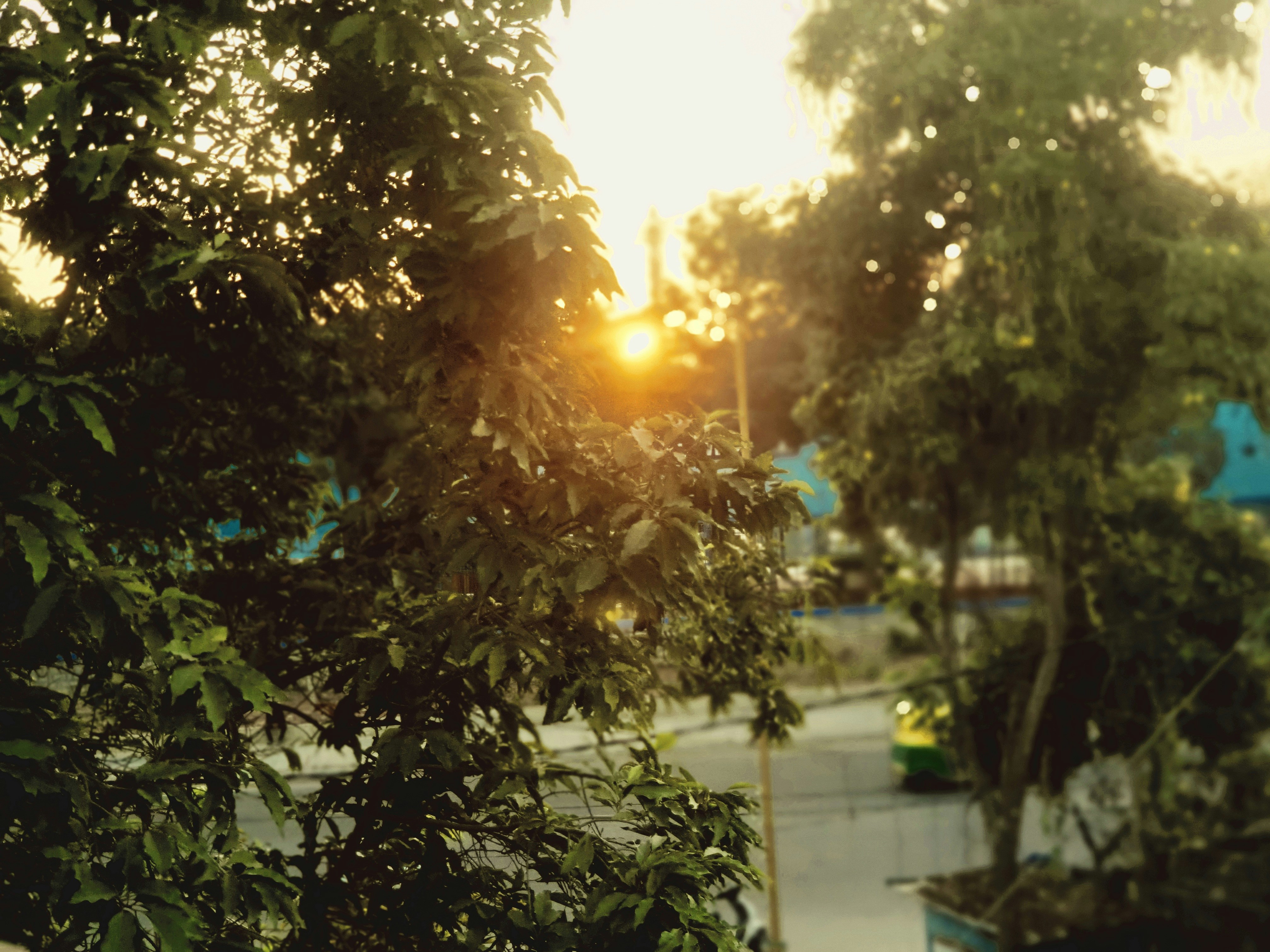 Photo by 5zantrigger