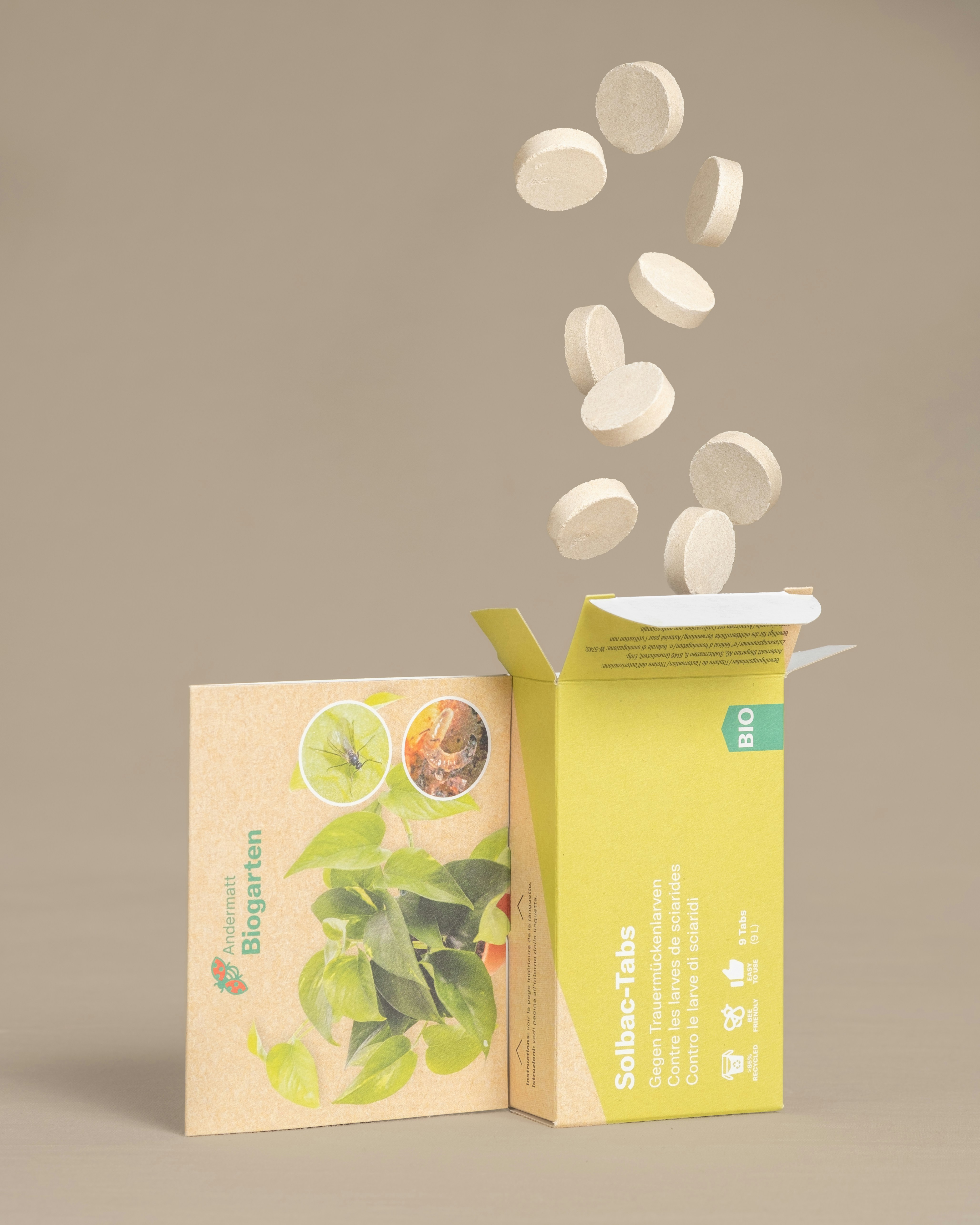 Soy wax candles in eco-friendly packaging