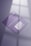 Two purple business cards are placed on a reflective surface. One card is facing up showing a stylized white text and the other is facing down displaying a QR code and details in white. The lighting creates soft shadows and a subtle window reflection on the surface.