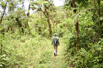 A hiker wearing a sleek Hypershell exoskeleton walking through a lush forest trail.