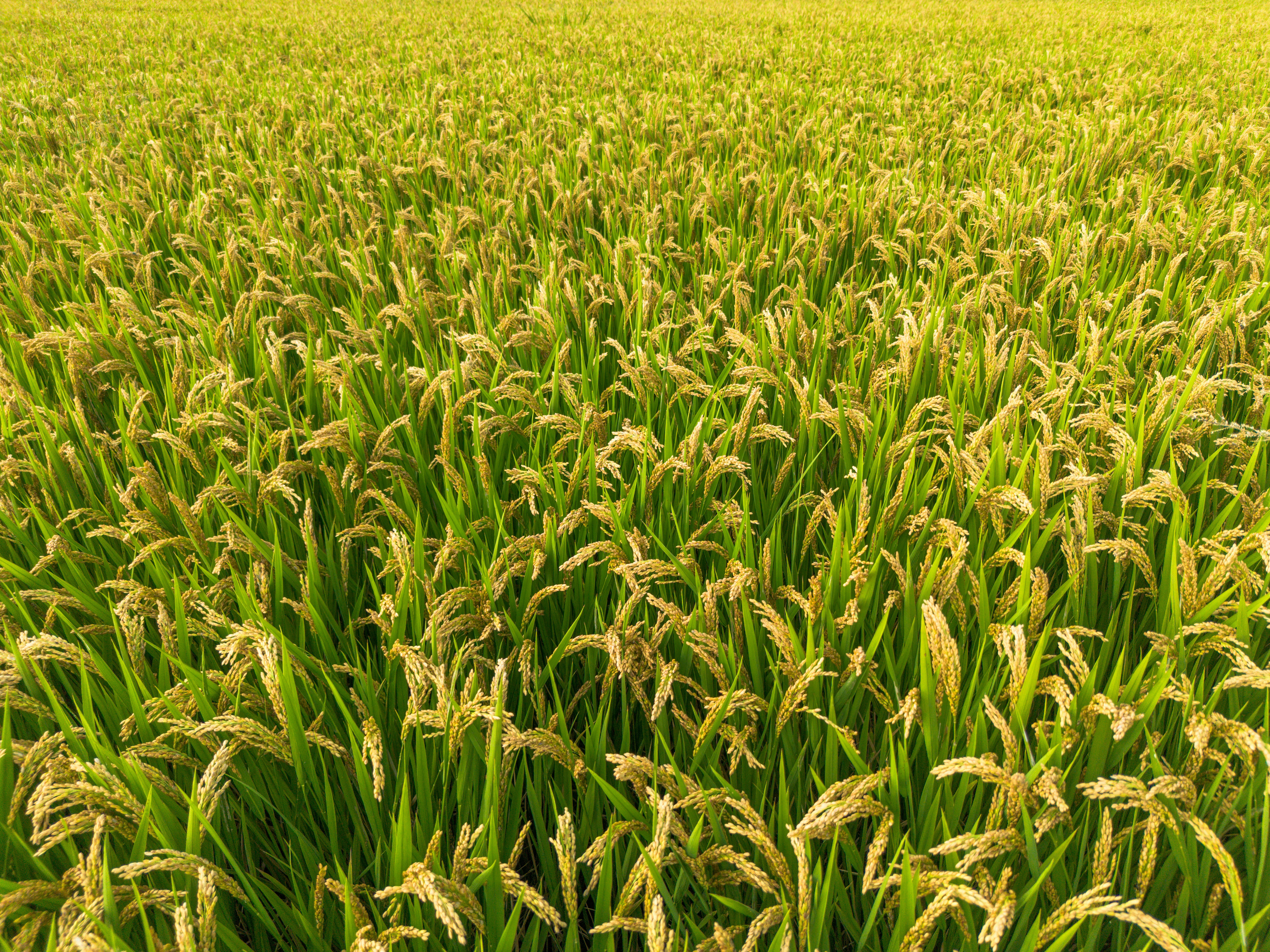 Photo by youngjun420