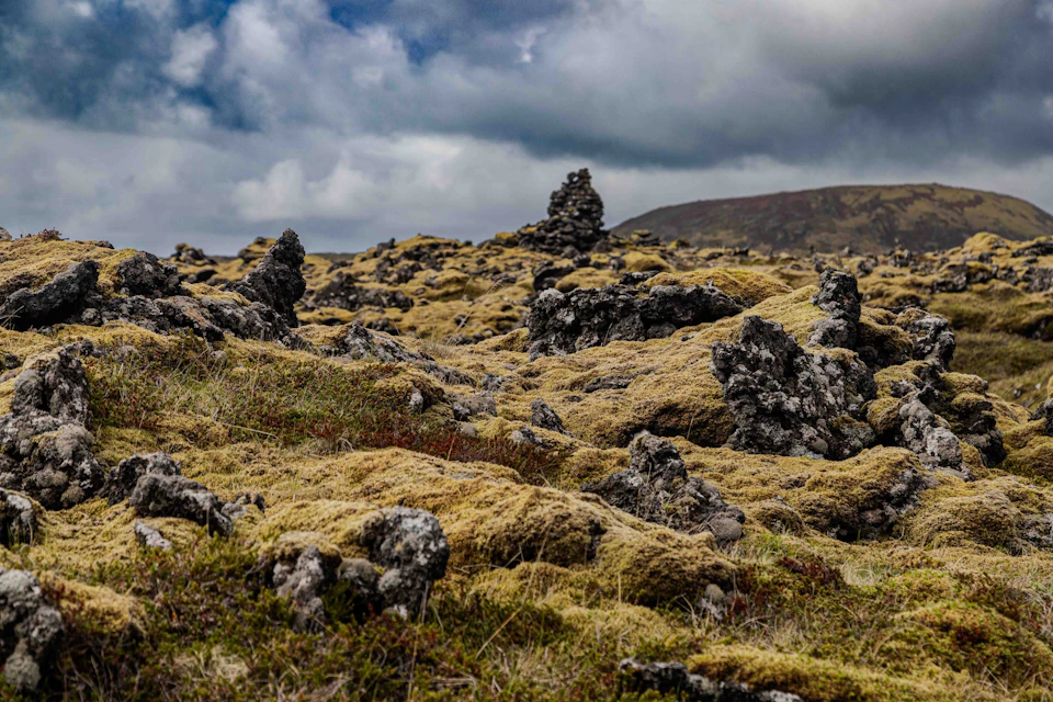 The image depicts a rocky landscape with patches of grass and shrubs scattered throughout, creating a sense of ruggedness. The predominant colors are browns and greens, reflecting the natural environment. In the background, there is a mountain range under a cloudy sky, adding depth to the scene.