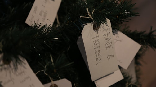 A close-up of a Christmas tree with handwritten tags attached to the branches. One prominent tag reads 'Peace & Freedom'. The tags are tied with strings onto the green foliage of the tree.