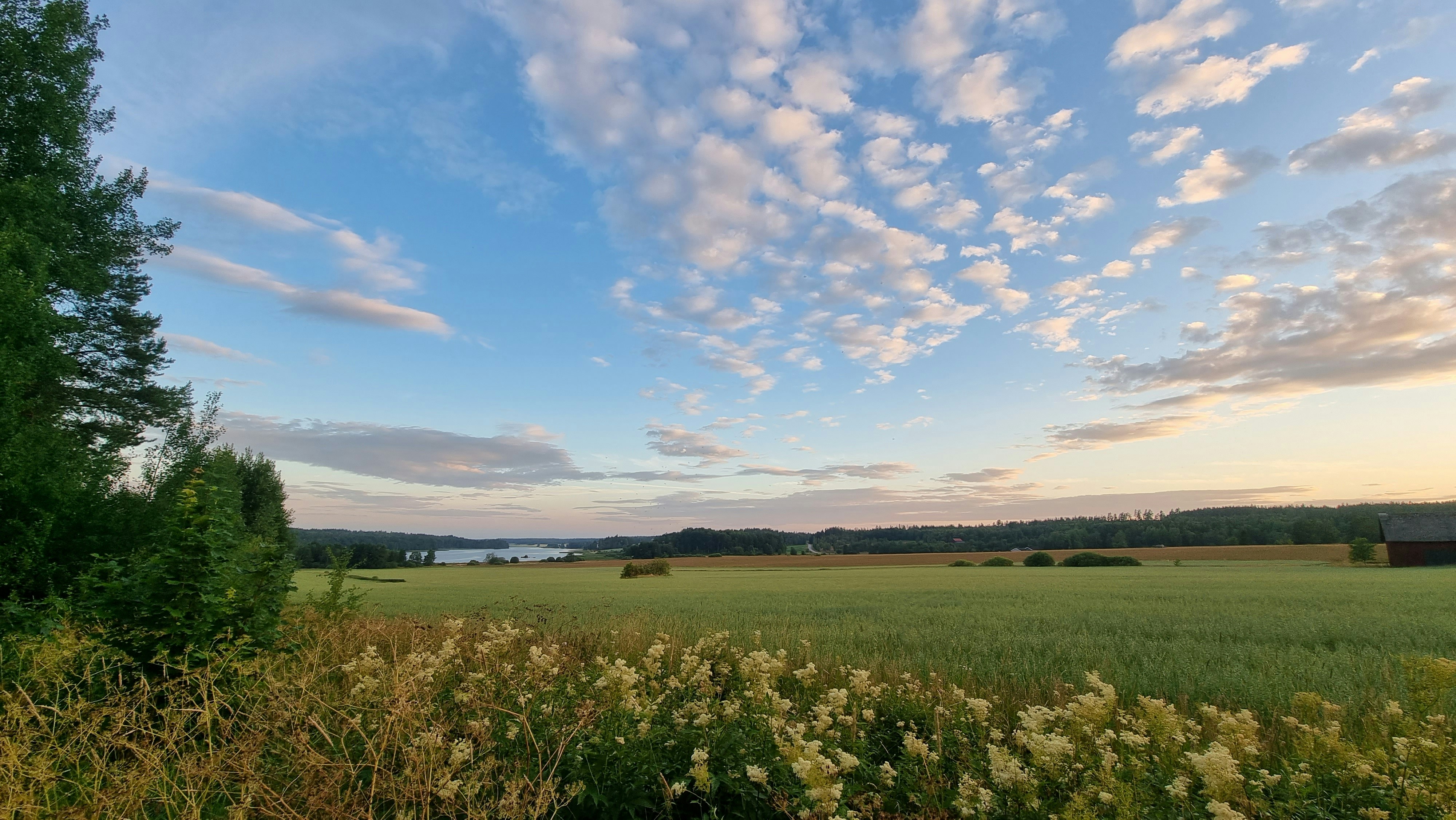 Photo by jonaspaivarinta