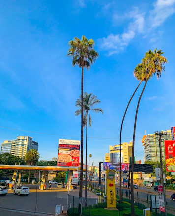 A vibrant collage showing defense equipment, oil rigs, cargo trucks, and tropical tourist spots.