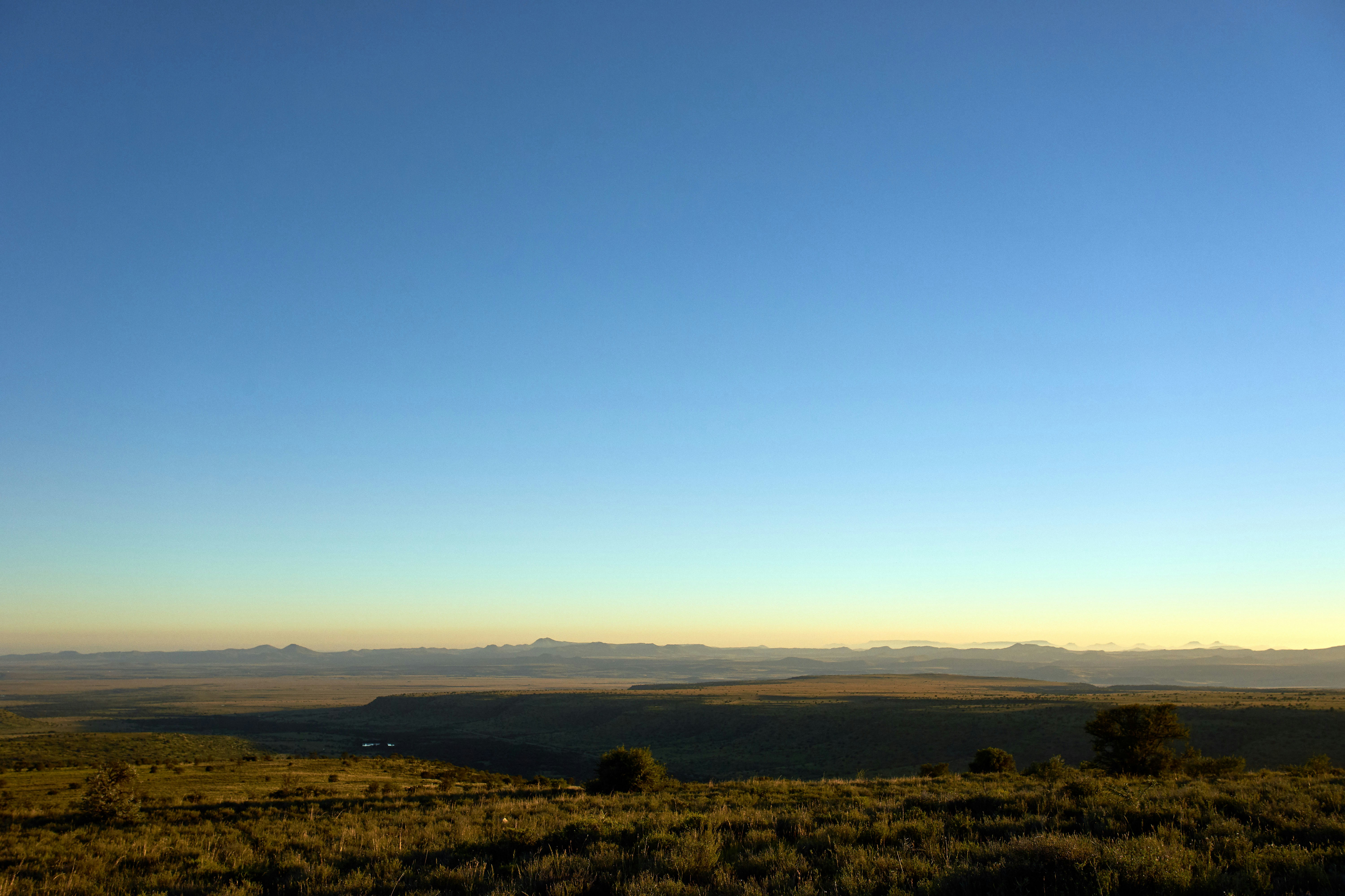 Photo by wolfgang_hasselmann