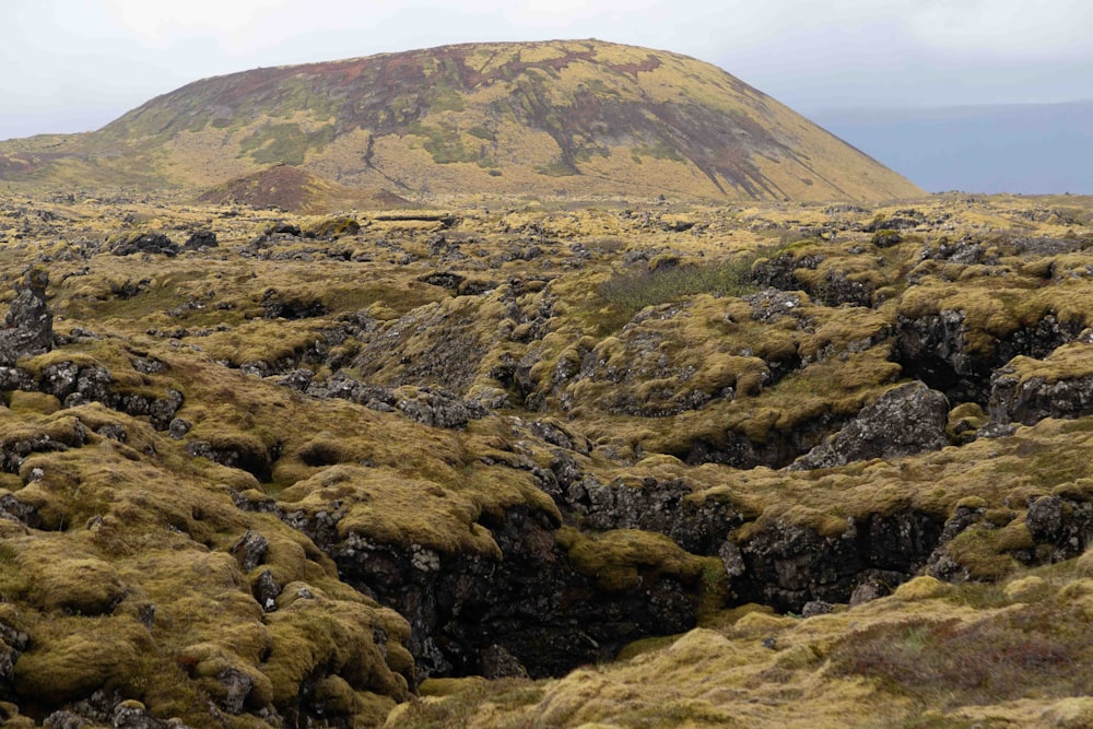 a mountain covered in green grass with a hill in the background