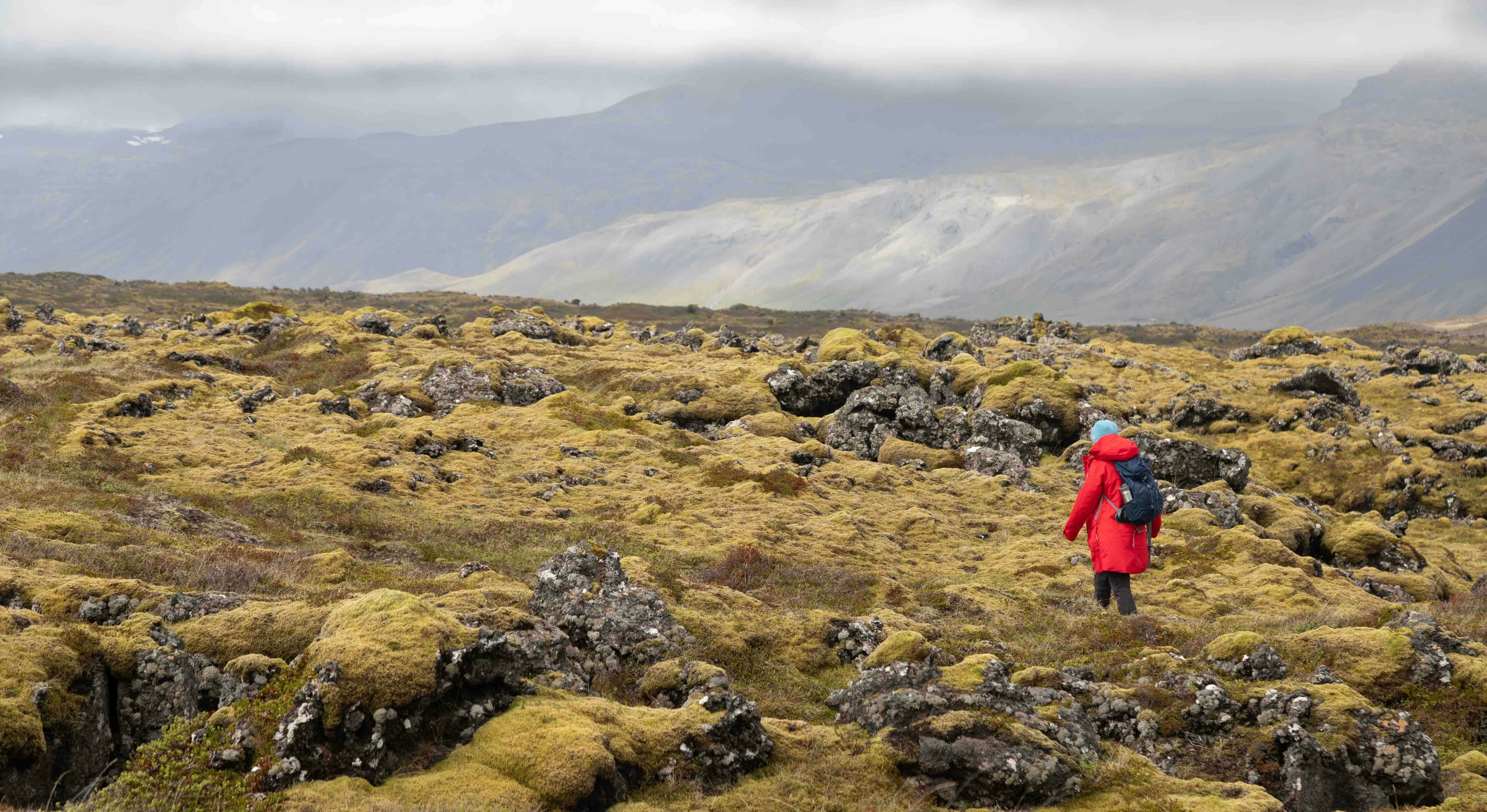 A lone hiker in a red jacket stands amidst a vast moss-covered lava field, with a mountainous landscape stretching into the distance under a cloudy sky.