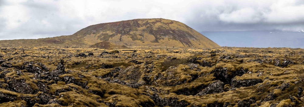 a mountain covered in moss and rocks under a cloudy sky