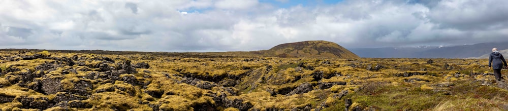 a man standing on top of a lush green hillside