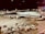 An airplane from Lufthansa is parked on the tarmac of an airport at night. The scene includes various airport ground vehicles and equipment scattered around. The background features a well-lit terminal and other airport facilities.