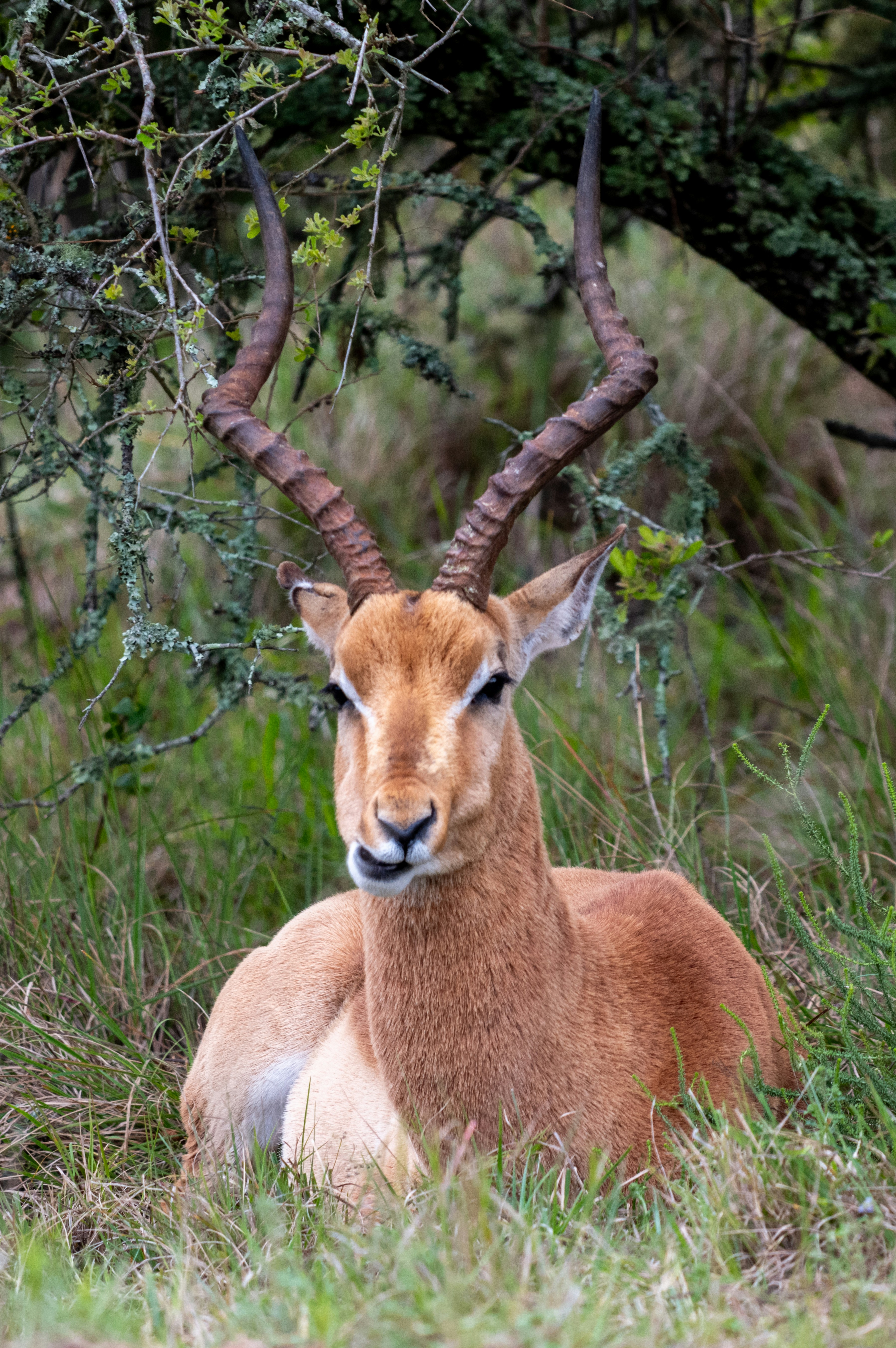 Photo by mwesselmann