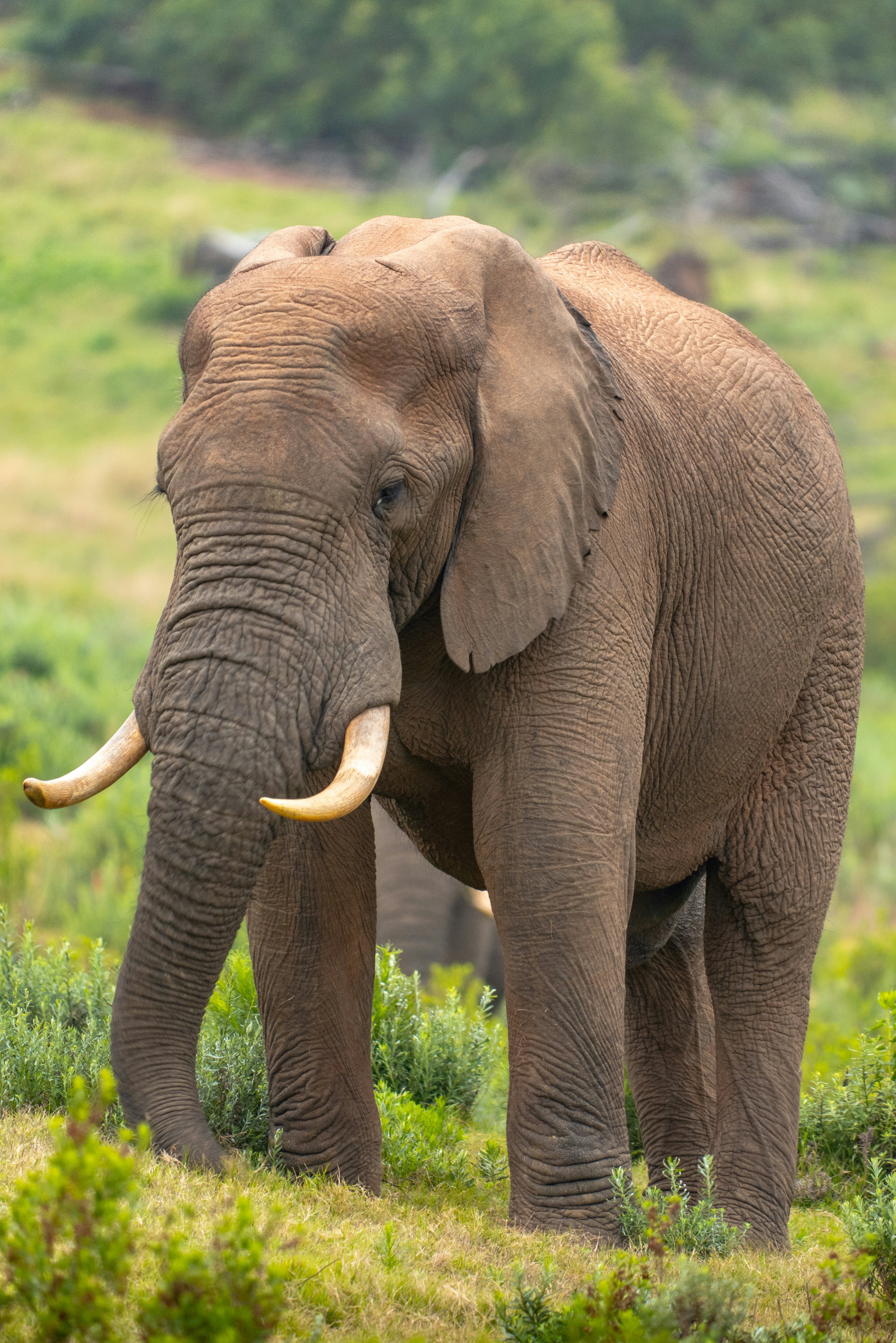 Photo by mwesselmann