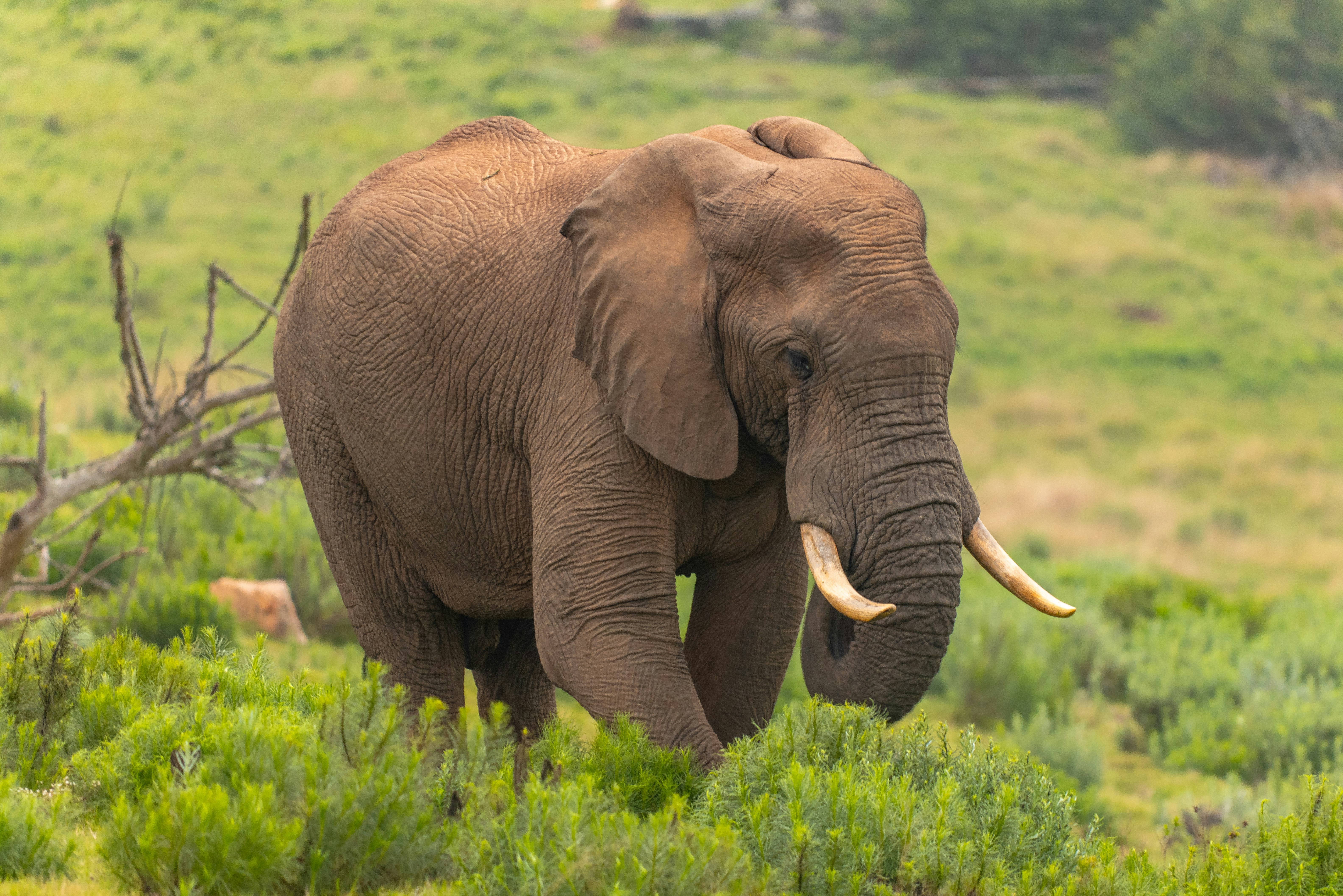 Photo by mwesselmann