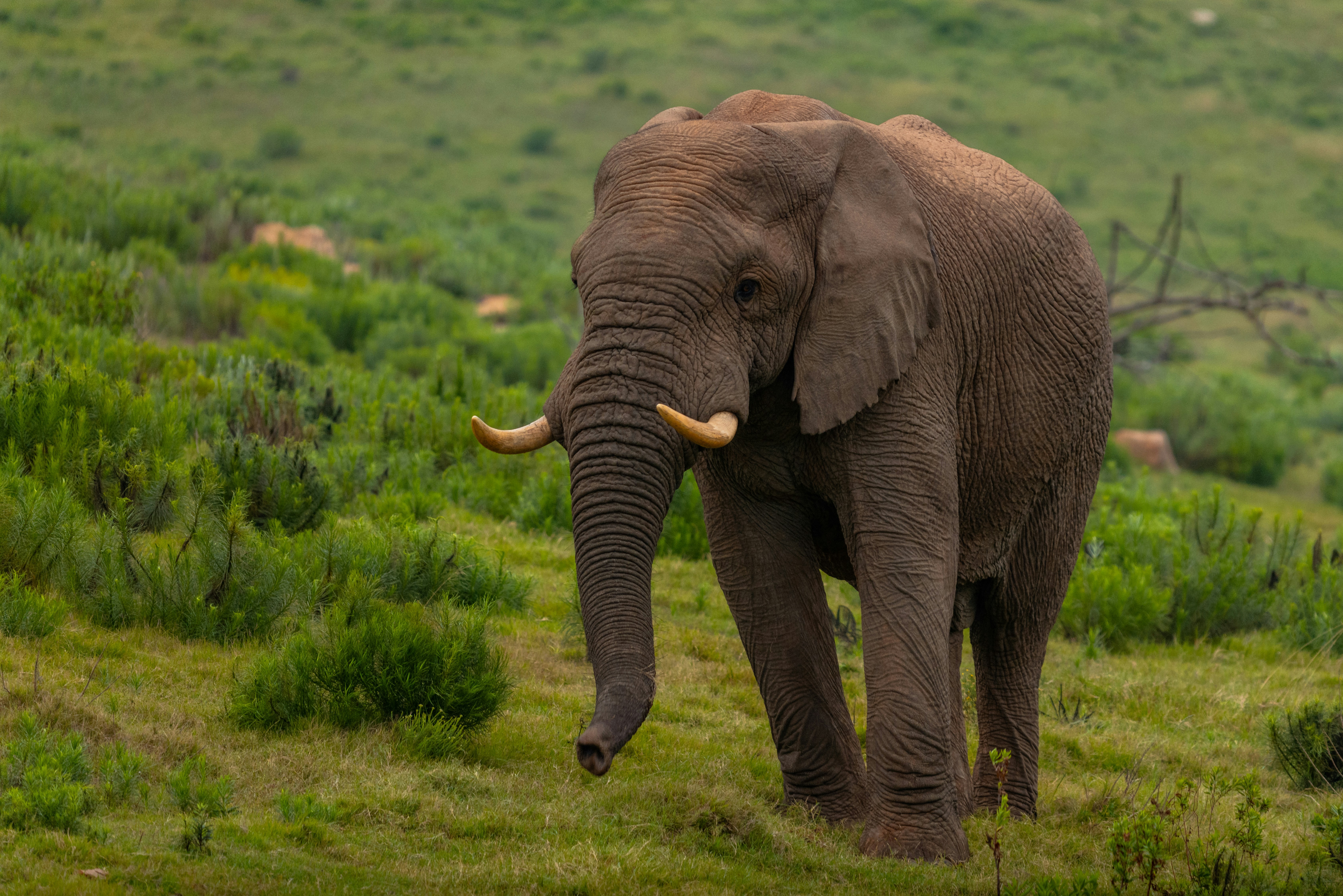 Photo by mwesselmann