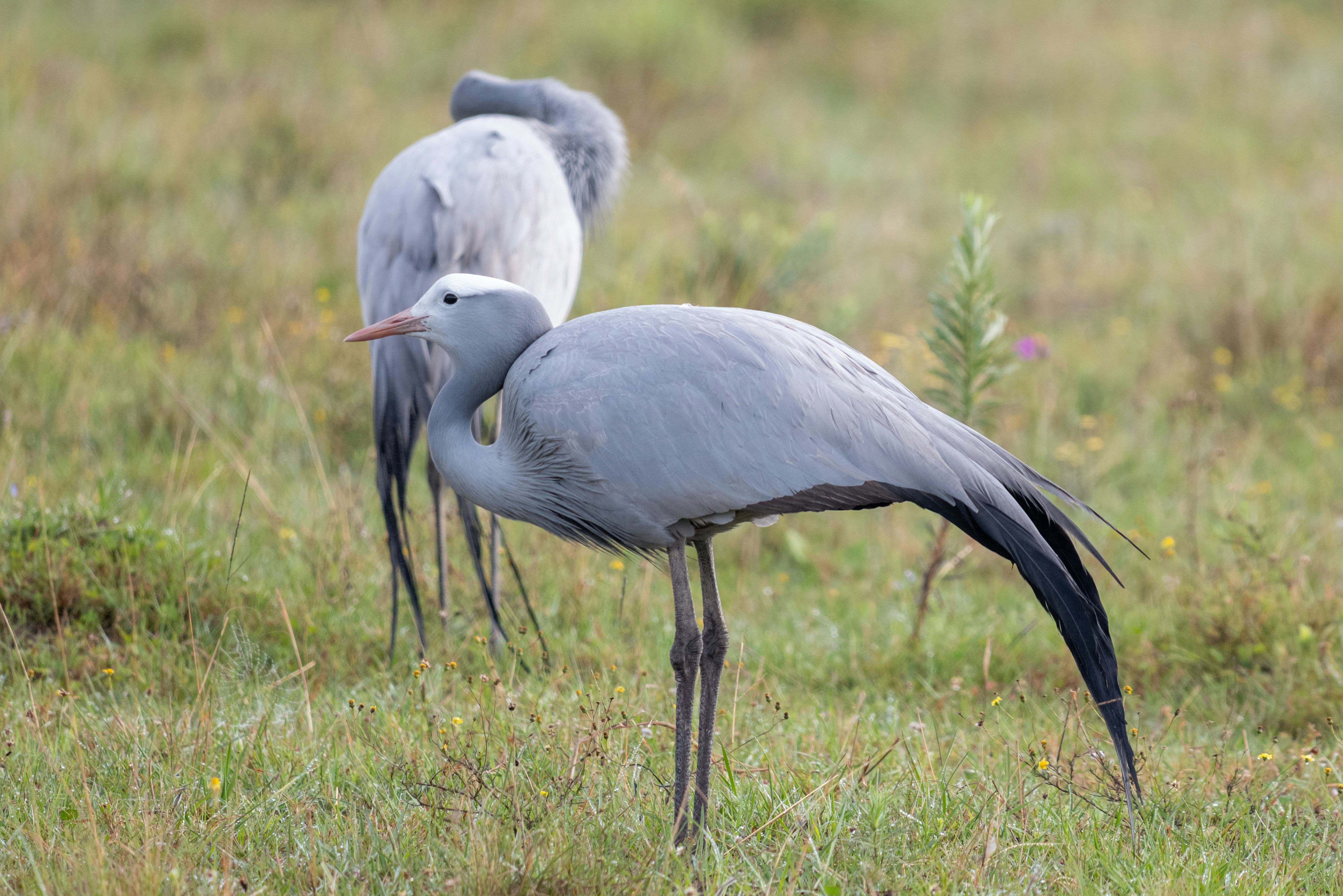 Photo by mwesselmann